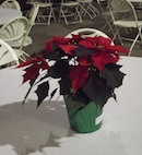 2012 ICP Christmas Party